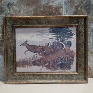 Vintage Framed Oil Painting on Wood White Tailed Deer Wildlife Wall Art
